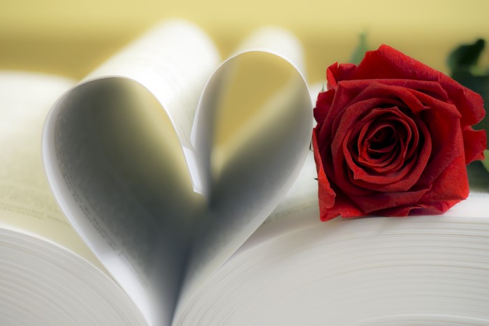 Red rose on an open book with heart-shaped pages