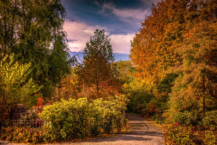Autumn path through Snug Harbor Botanical Garden