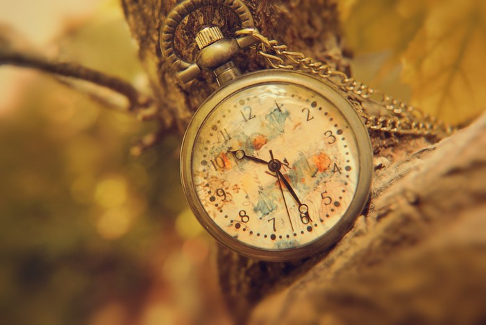 4K Pocket Watch on Tree Branch