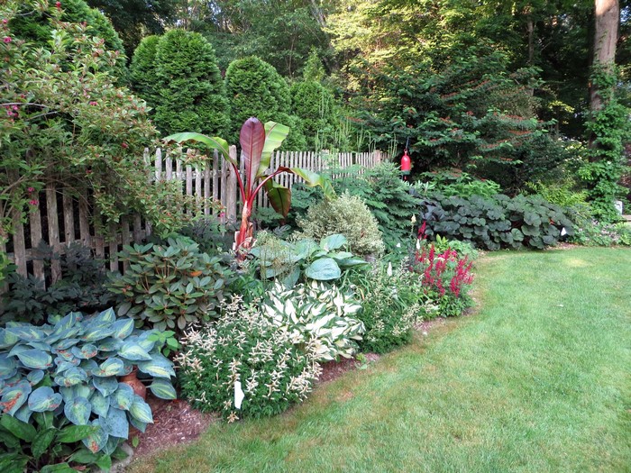 Garden with a wooden fence and various plants