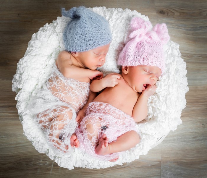 Two Newborn Twins Sleeping in a Basket