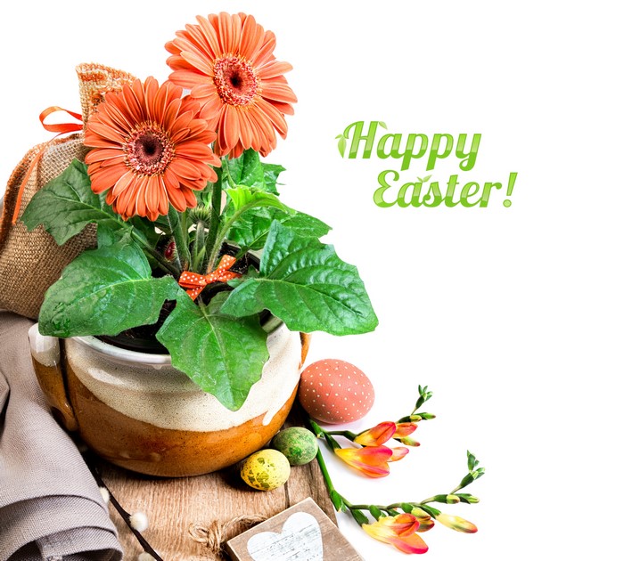 Easter Gerbera Daisies and Freesia Arrangement