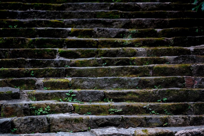 Moss-covered stone stairs