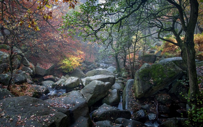 Autumn forest with stream and rocks in Padley Gorge, UK