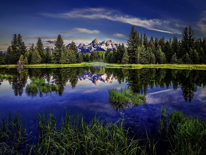 Grand Teton Mountains reflected in a beaver pond, Wyoming