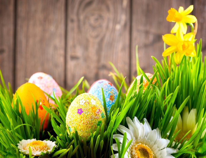 Easter Eggs and Daffodils in Grass