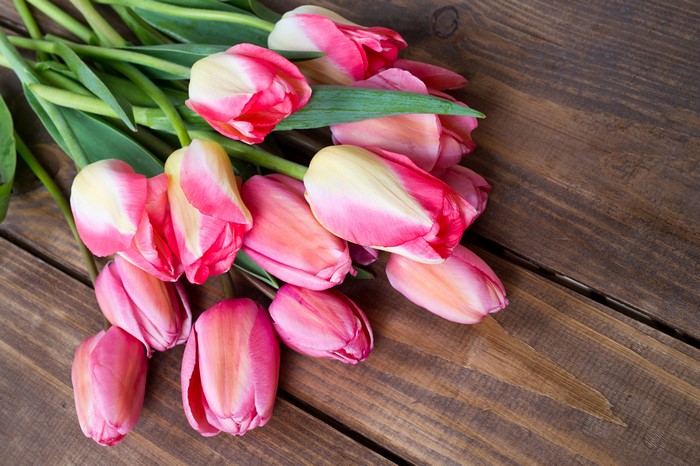 Pink and white tulips on a wooden background