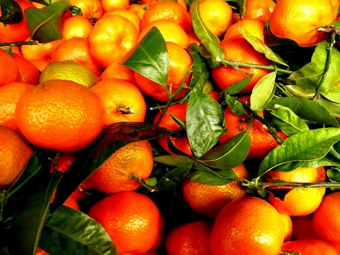 A pile of fresh mandarins with green leaves