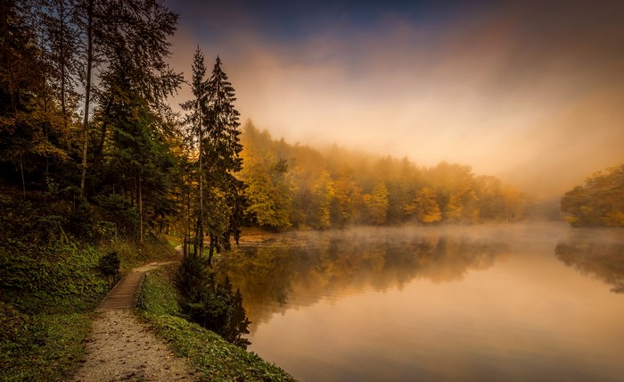 Lake and forest with fog in Trakoscan, Croatia