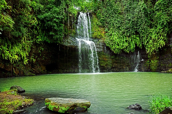 Waterfall cascading into a green pool surrounded by jungle