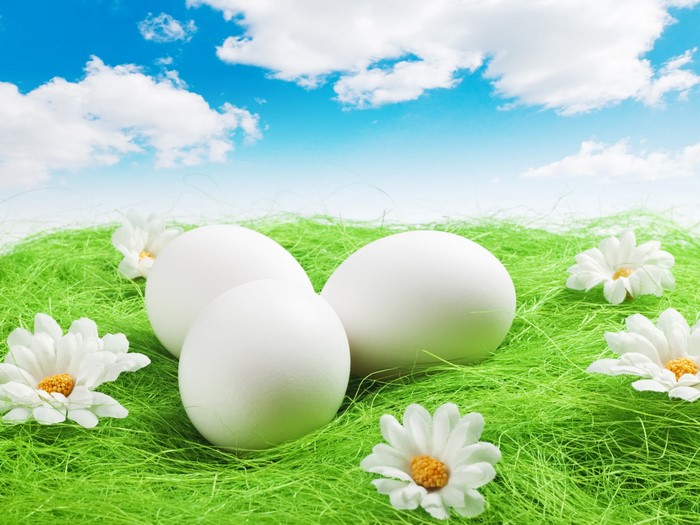 Easter Eggs and Camomiles on Green Grass