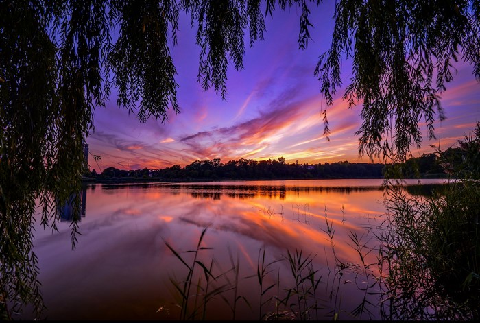 Sunset over a river with weeping willow branches
