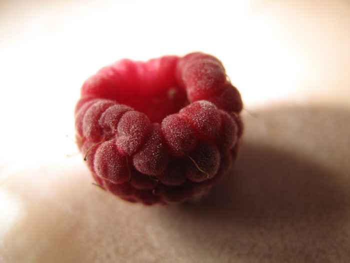 Closeup of a single red raspberry