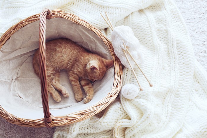Ginger kitten sleeping in a wicker basket with knitting supplies