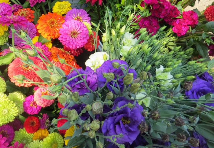 Bouquets of Zinnias and Eustoma Flowers