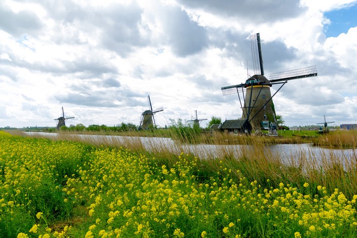 Windmills along a canal in Kinderdijk, Netherlands