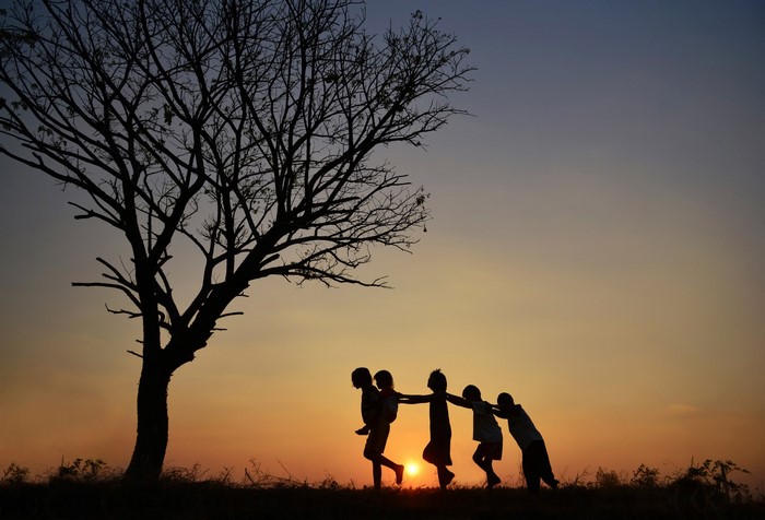 Children playing near a tree at sunset