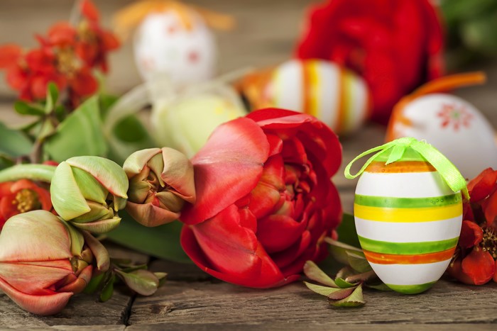 Easter Tulips and Eggs on Wooden Table