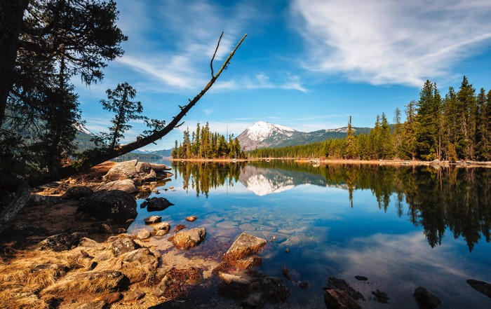 Lake Wenatchee with Snow-Capped Mountain and Forest