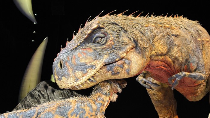 Two dinosaurs, one large and one small