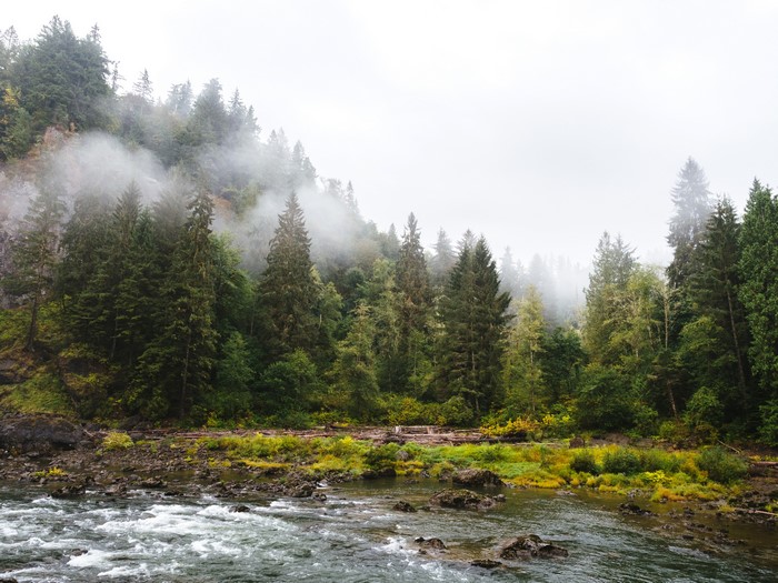 Snoqualmie Falls Washington USA Forests Rivers Fog