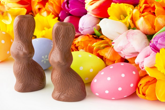 Easter chocolate bunnies and tulips