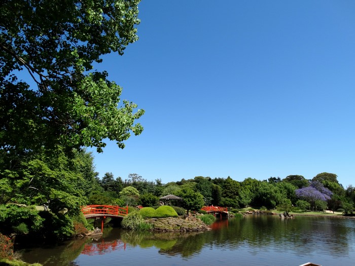 Japanese Garden Toowoomba Australia Pond Bridges