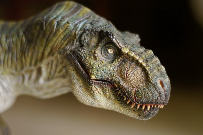 4K Tyrannosaurus Rex Dinosaur Model