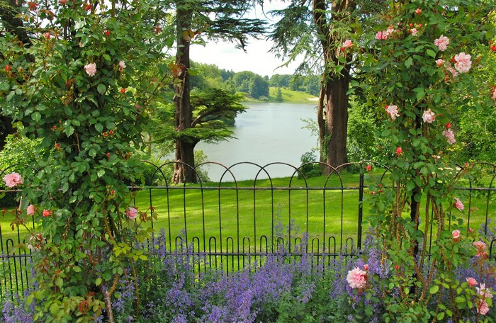 Roses and a lake in Oxfordshire Gardens, United Kingdom