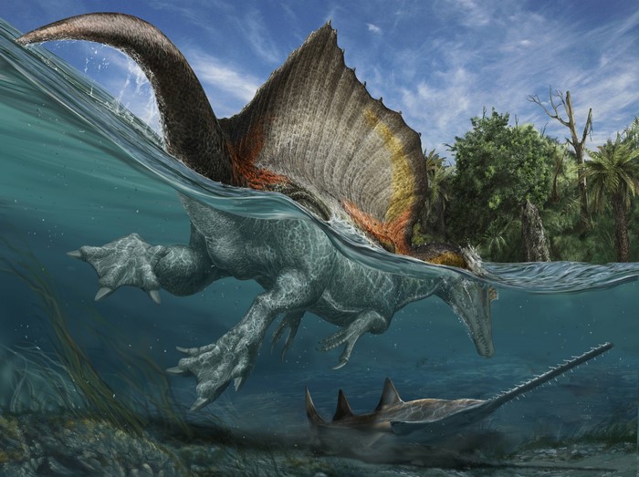 4K Spinosaurus and Onchopristis in Water