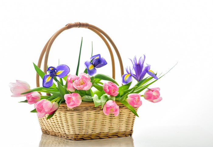 Pink Tulips and Purple Irises in a Wicker Basket