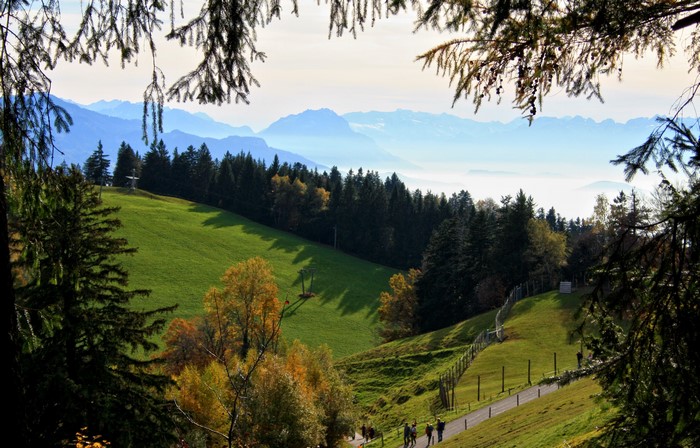 Lochau, Austria Scenery with Mountains and Forests