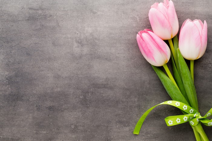 Three pink tulips with green ribbon