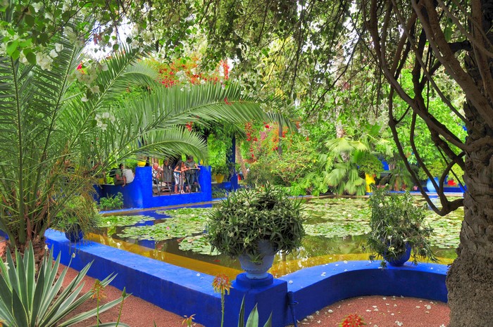 Marrakech Jardin Majorelle Pond with Palms and Shrubs