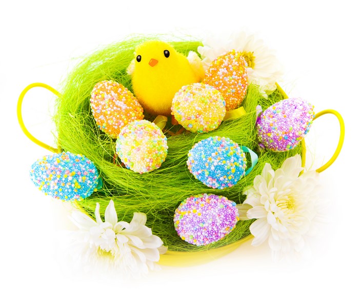Easter chick and eggs in a nest with flowers