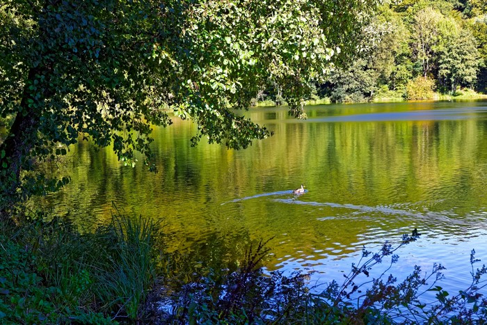 4K Gillenfeld Lake in Germany