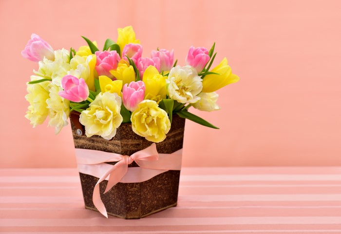 Tulips in a decorative pot with a pink bow