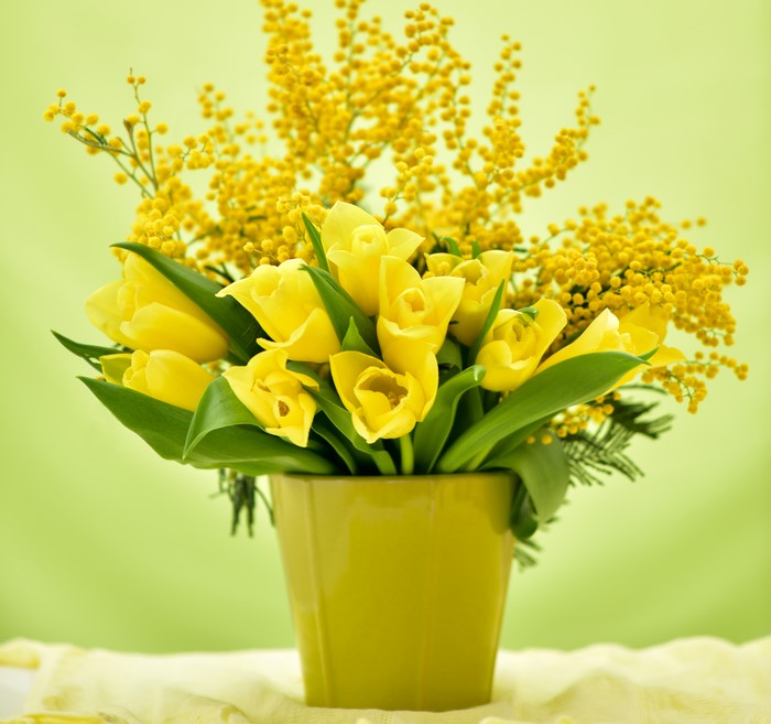 Yellow Tulips and Silver Wattle in a Vase