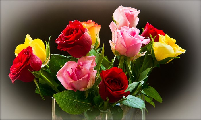 Roses in a vase