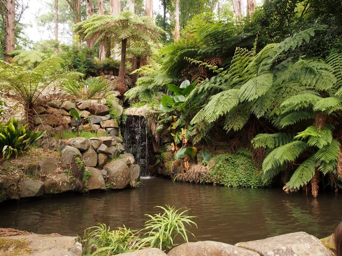 Waterfall and pond in Alfred Nicholas Memorial Gardens, Sherbrooke, Australia