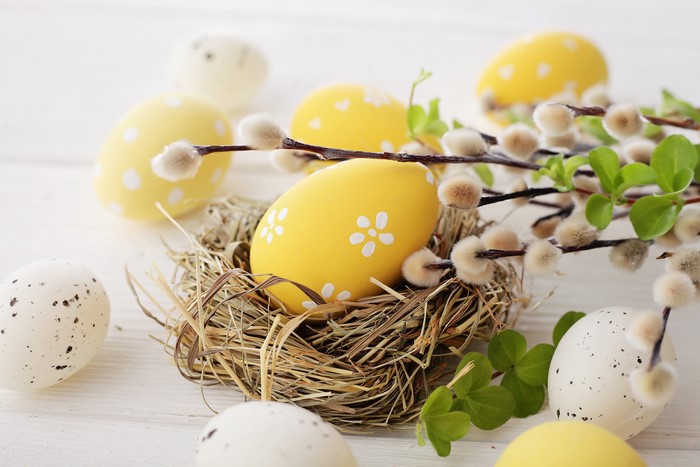 Easter eggs in a nest with pussy willow branches