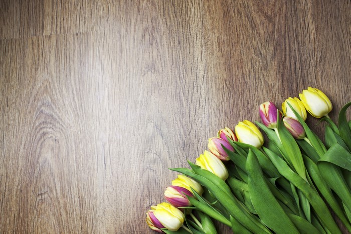 Yellow and pink tulips on a wooden background