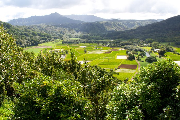 Hanalei Valley, Kauai, Hawaii