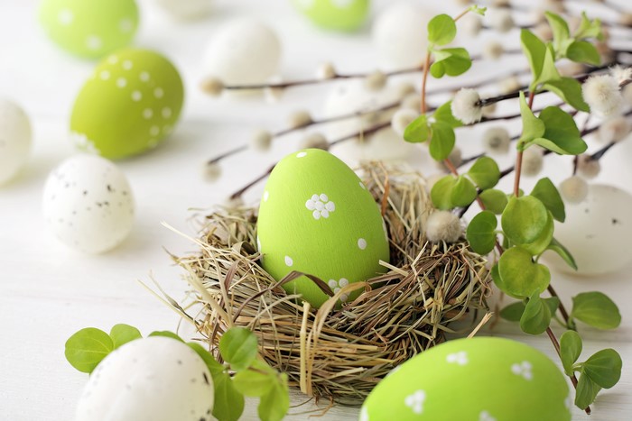 Easter Eggs in a Nest with Pussy Willow Branches