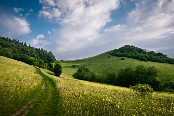 4K Grasslands Scenery with Trail and Clouds