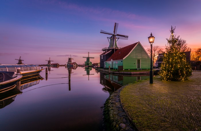 Zaanse Schans windmills at dusk with Christmas tree