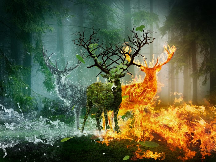 4K Elemental Deer in Forest with Fire and Water