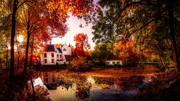 White houses by a pond in autumn