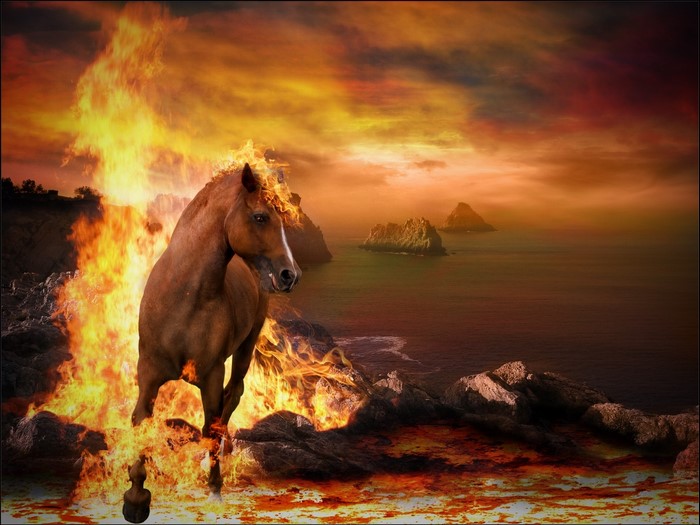 Horse engulfed in flames on a rocky shore