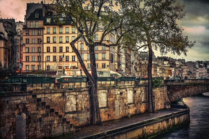 Parisian buildings along the Seine river with trees